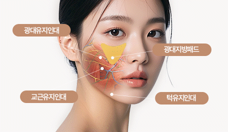노화로 인한 얼굴 변화