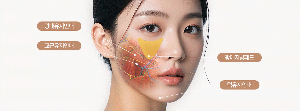 노화로 인한 얼굴 변화