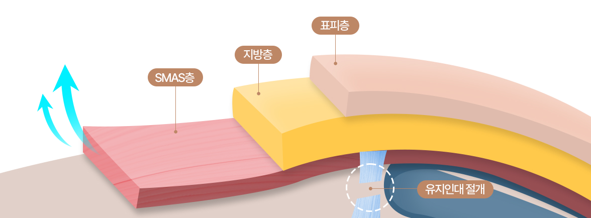 스마스 이미지