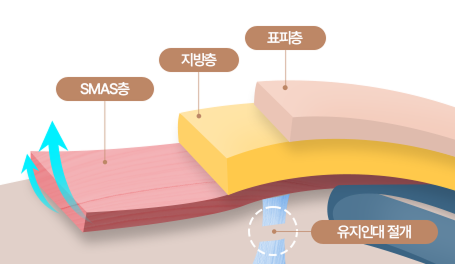 스마스 이미지