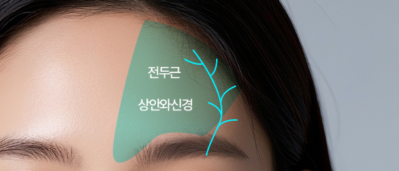 튼튼한 고정과 섬세한 봉합