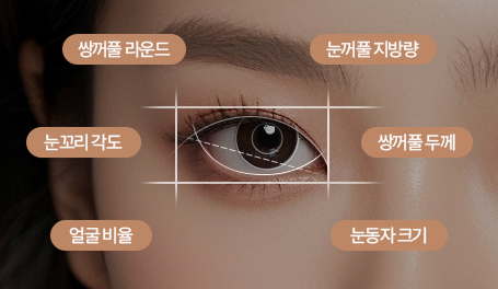 쌍커풀 이미지