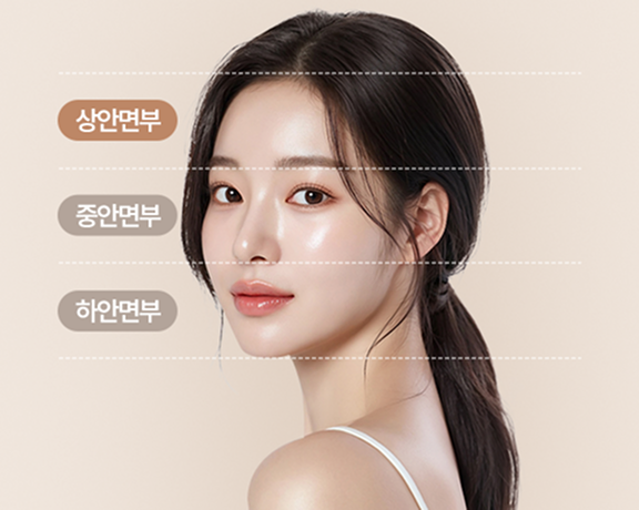 상안면부