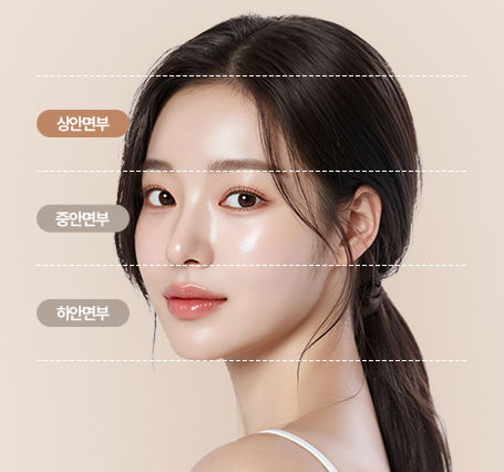 상안면부