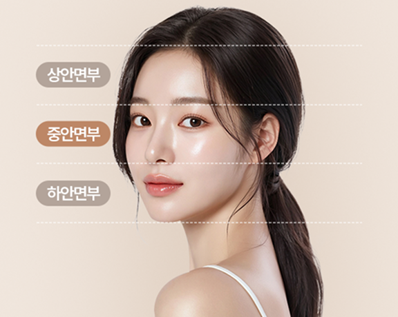 중안면부