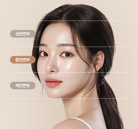 중안면부