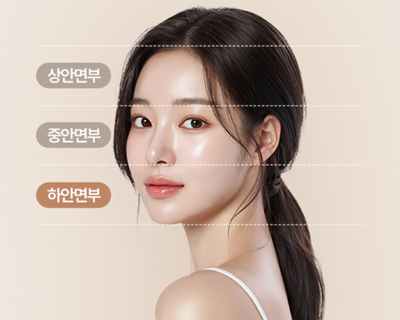 하안면부