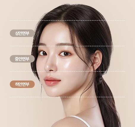 하안면부
